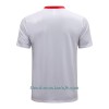 Polo De Entrenamiento Manchester United 2022-23 Blanca - Hombre